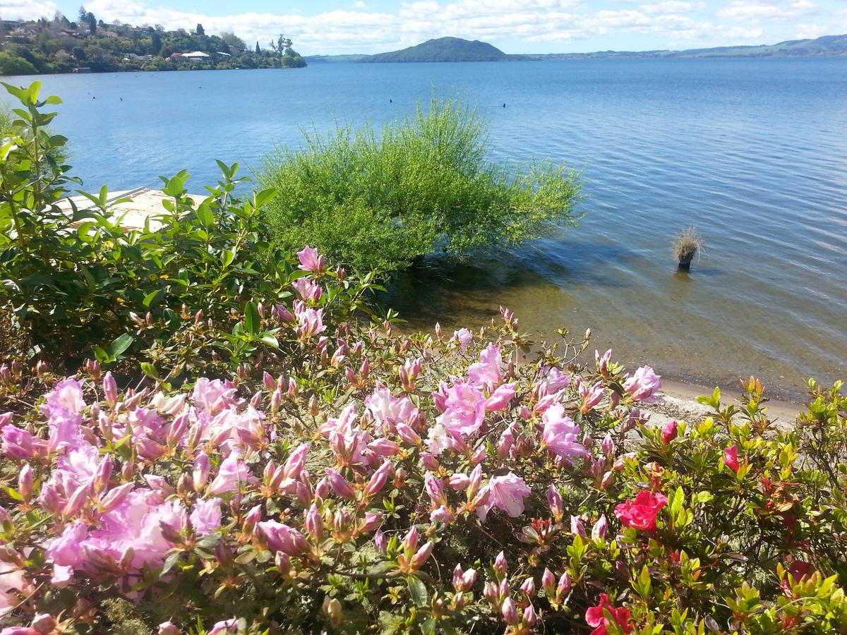 Koutu Beach Bed And Breakfast Rotorua Eksteriør billede